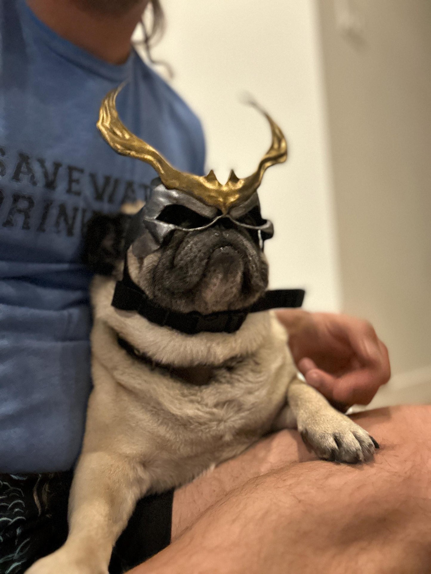 Shao Kahn mask for Pugs, Boston Terriers and French Bulldog