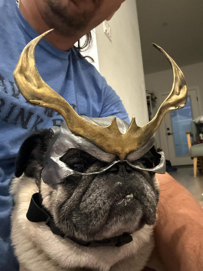 Shao Kahn mask for Pugs, Boston Terriers and French Bulldog