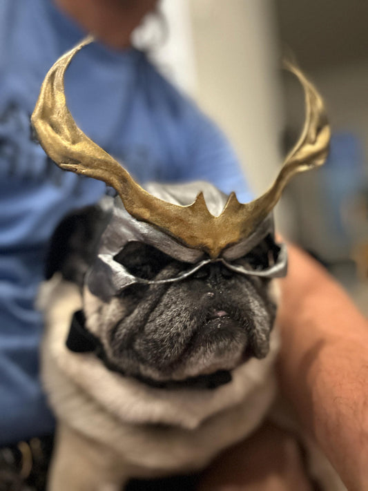 Shao Kahn mask for Pugs, Boston Terriers and French Bulldog