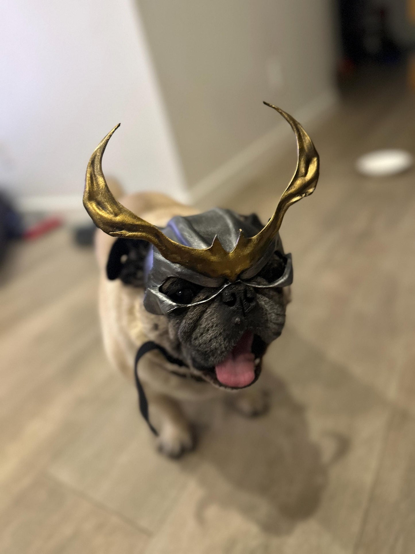 Shao Kahn mask for Pugs, Boston Terriers and French Bulldog