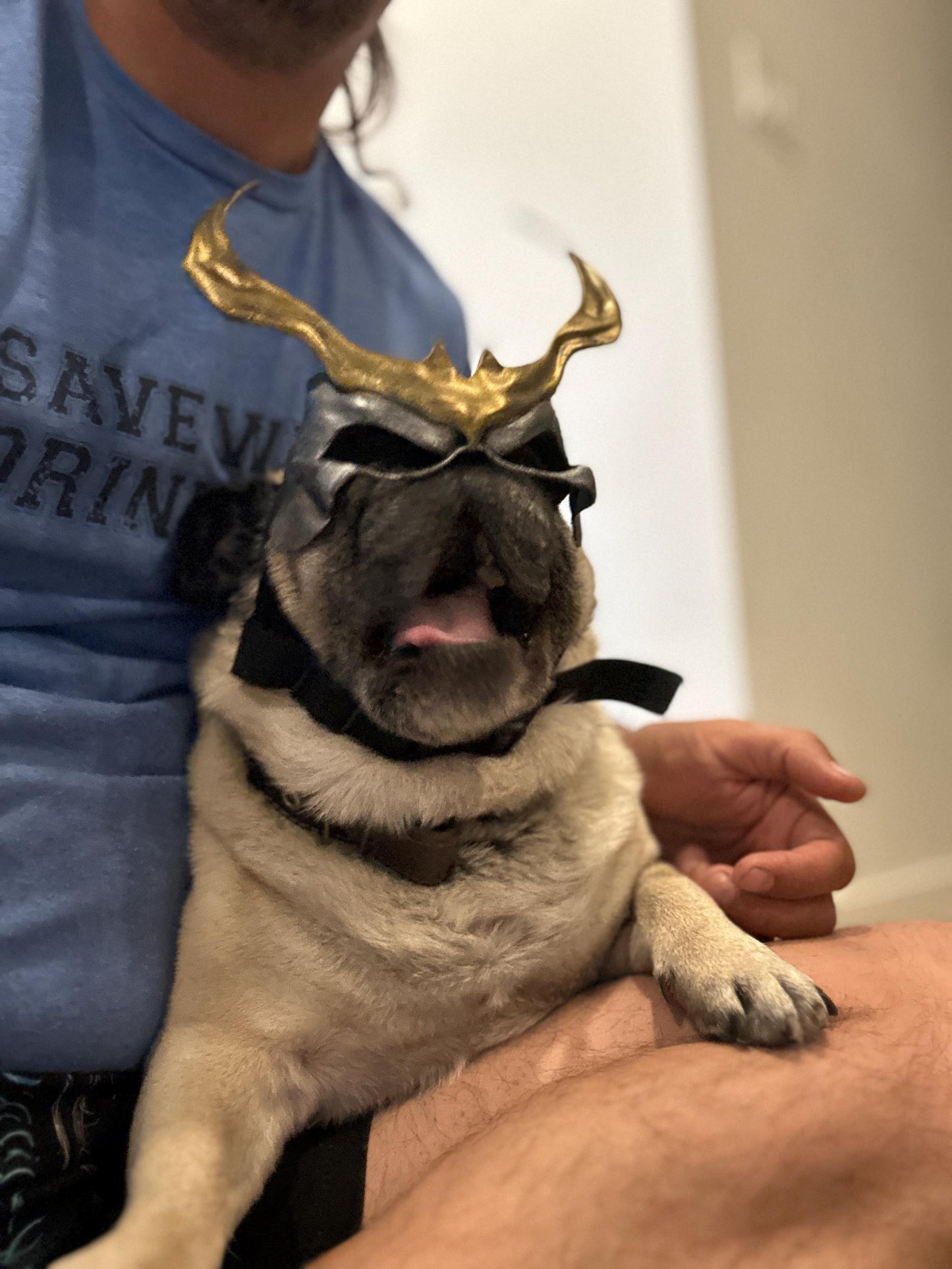 Shao Kahn mask for Pugs, Boston Terriers and French Bulldog