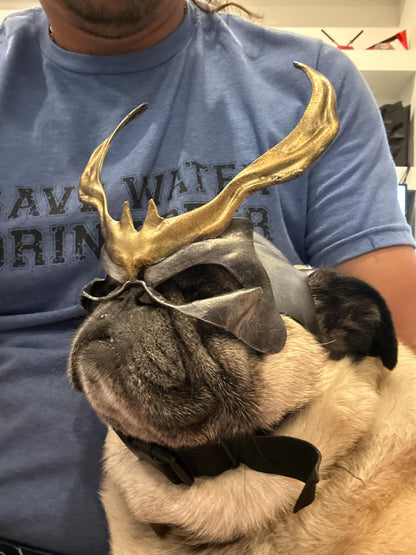 Shao Kahn mask for Pugs, Boston Terriers and French Bulldog