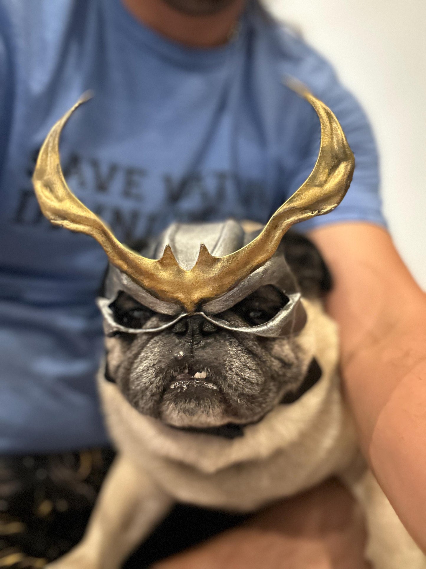 Shao Kahn mask for Pugs, Boston Terriers and French Bulldog